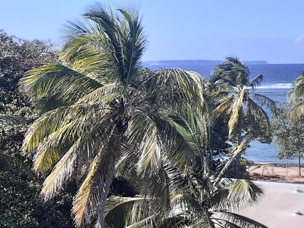 Studio Vue Sur Mer 르 물레 외부 사진